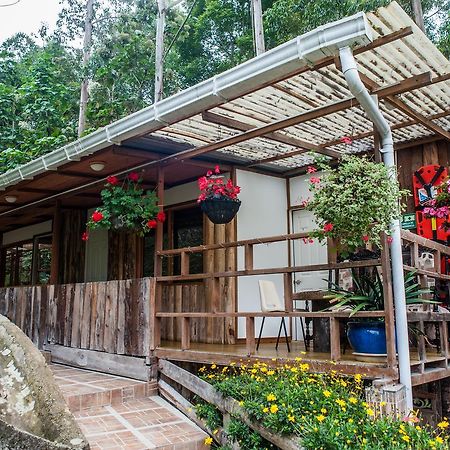 Hotel Selva Verde Саленто Екстериор снимка