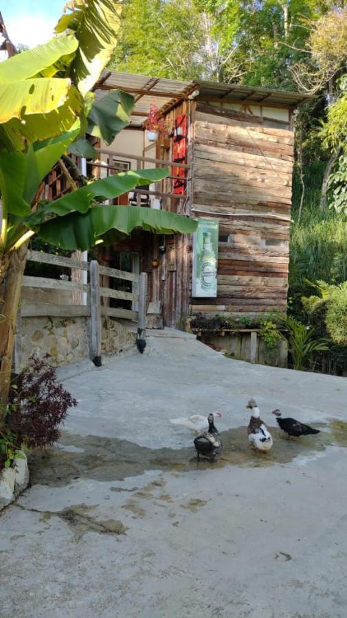 Hotel Selva Verde Саленто Екстериор снимка