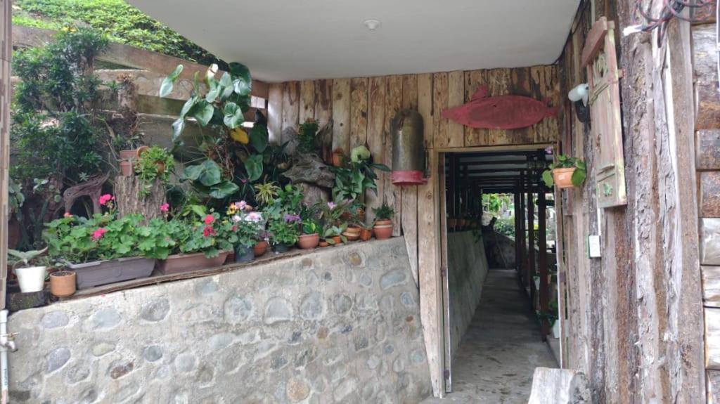 Hotel Selva Verde Саленто Екстериор снимка