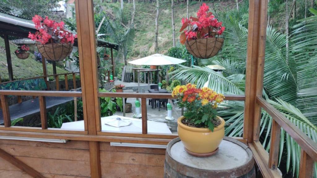 Hotel Selva Verde Саленто Екстериор снимка